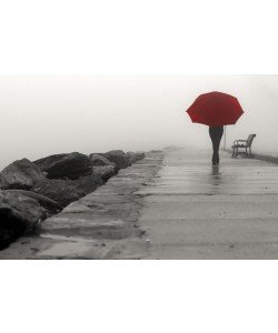 Sandro De Carvalho, RED UMBRELLA III