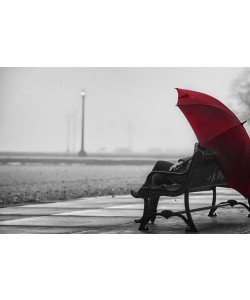 Sandro De Carvalho, RED UMBRELLA IV