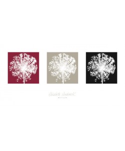 Elisabeth Verdonck, ALLIUM