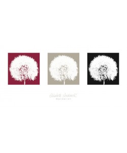 Elisabeth Verdonck, DANDELION