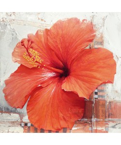 Enrico Sestillo, HIBISCUS I