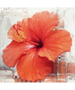 Enrico Sestillo, HIBISCUS I