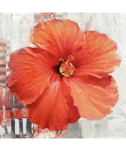 Enrico Sestillo, HIBISCUS II