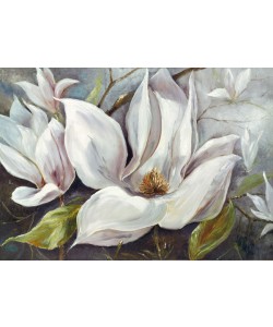 Anna Field, TENDER MAGNOLIAS I