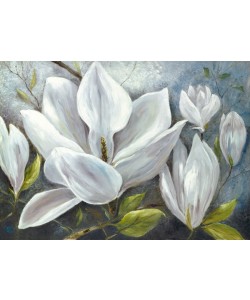 Anna Field, TENDER MAGNOLIAS II