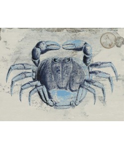 Sheldon Lewis, MYSTERIOUS CRUSTACEAN II