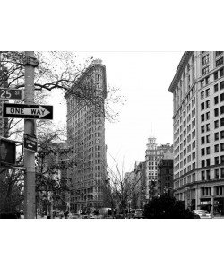 Tracey Telik, FLAT IRON BW