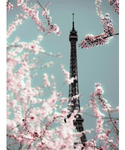 Tracey Telik, SPRING EIFFEL II