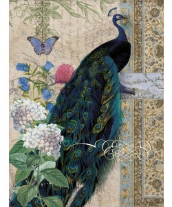 Tammy Repp, PEACOCK BROCADE II