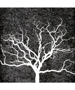 Victoria Brown, NORDIC SPIRIT I