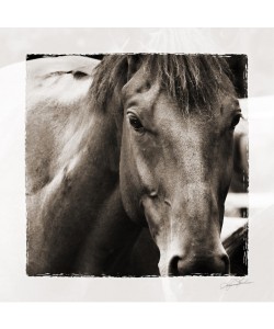 Suzanne Foschino, EYES I