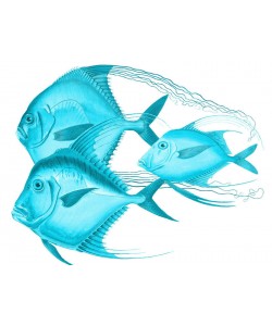 Sheldon Lewis, ANGELS OF THE DEEP II