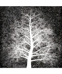 Victoria Brown, NORDIC SPIRIT II