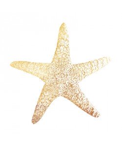 Victoria Brown, GOLD FOIL STARFISH