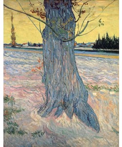 Vincent van Gogh, Der Baum. Arles, September 1888