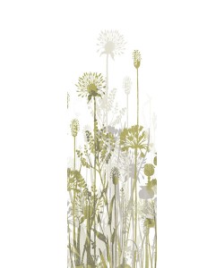 Simon Ashby, GARDEN SILHOUETTE II