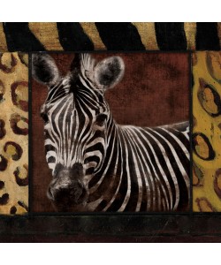 Jace Grey, BORDERED ZEBRA
