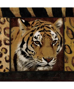Jace Grey, BORDERED TIGER