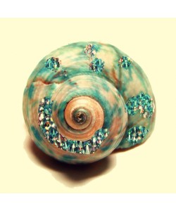 Taylor Greene, JEWELED SHELL I