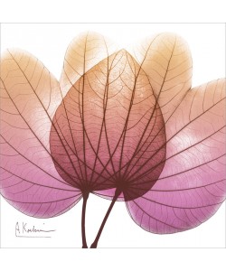 Albert Koetsier, PINK ORANGE III