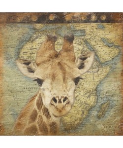 Jace Grey, MAP WITH GIRAFFE I