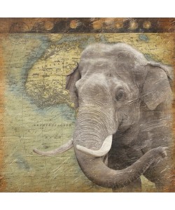 Jace Grey, MAP WITH ELEPHANT I