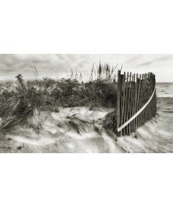 Diane Woods, DUNE FENCE I
