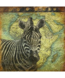Jace Grey, MAP WITH ZEBRA I
