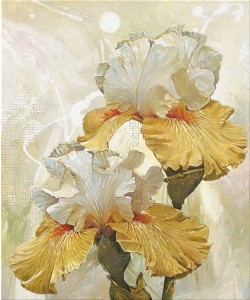 Enrico Sestillo, VANILLA IRIS III