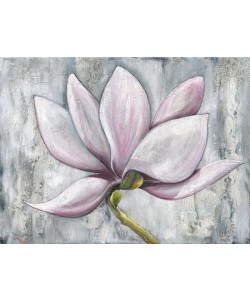 Rian Withaar, PINK MAGNOLIA