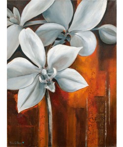 Rian Withaar, WHITE ORCHID II