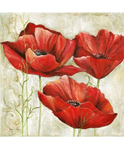 Anna Field, THREE RED POPPIES I