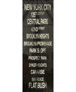 Tammy Repp, NYC PLACES