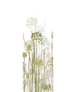 Simon Ashby, GARDEN SILHOUETTE I