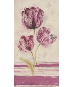 Disegni, FLORAL WITH STRIPES I