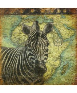 Jace Grey, MAP WITH ZEBRA I