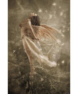 Babette, WIND DANCE
