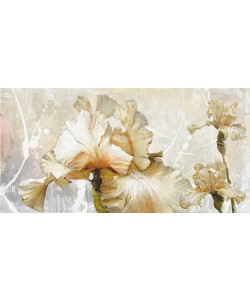 Enrico Sestillo, VANILLA IRIS I