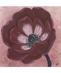 Kaye Lake, MOHAGONY ANEMONE II