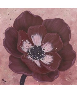 Kaye Lake, MOHAGONY ANEMONE III