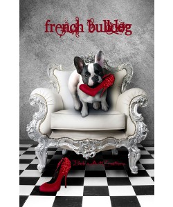 Babette, FRENCH BULLDOG