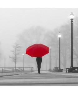 Sandro De Carvalho, BRIGHT UMBRELLA