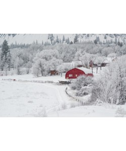 Vladimir Kostka, Dreamy Winter Farm