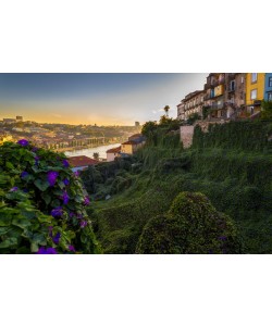 Vladimir Kostka, PORTO GARDENS