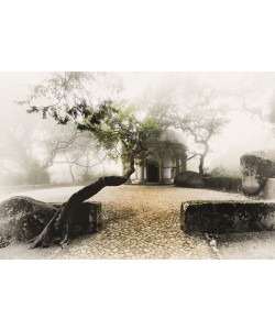 Vladimir Kostka, MISTY CHAPEL