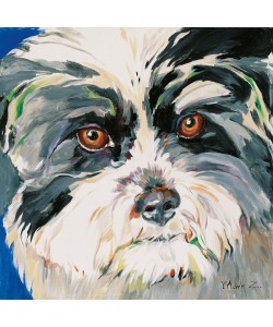 Mark Z, Dog rocks I