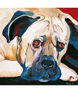 Mark Z, Dog rocks II