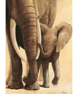 Renee, Elephant love I