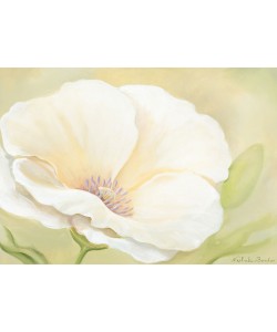 Nathalie Boucher, White flower II