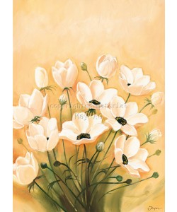 Jasper, White poppies 2-3